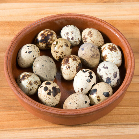 Partridge-Egg